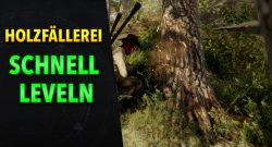 New World Holzfällerei