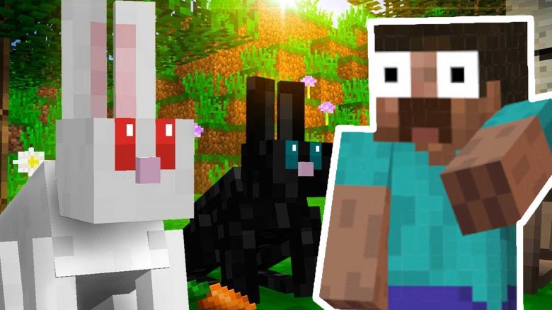 40.000 Leute sehen irres Pech eines Minecraft-Spielers, der all seine Hasen verliert