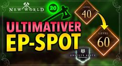 New World Piratenspot