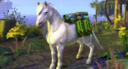 eso-stream-mit-pony-titel01