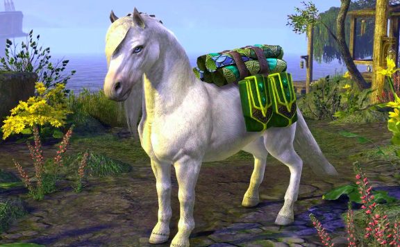 eso-stream-mit-pony-titel01