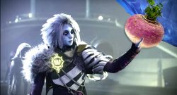 rutabaga-fehlercode-rübe-destiny2