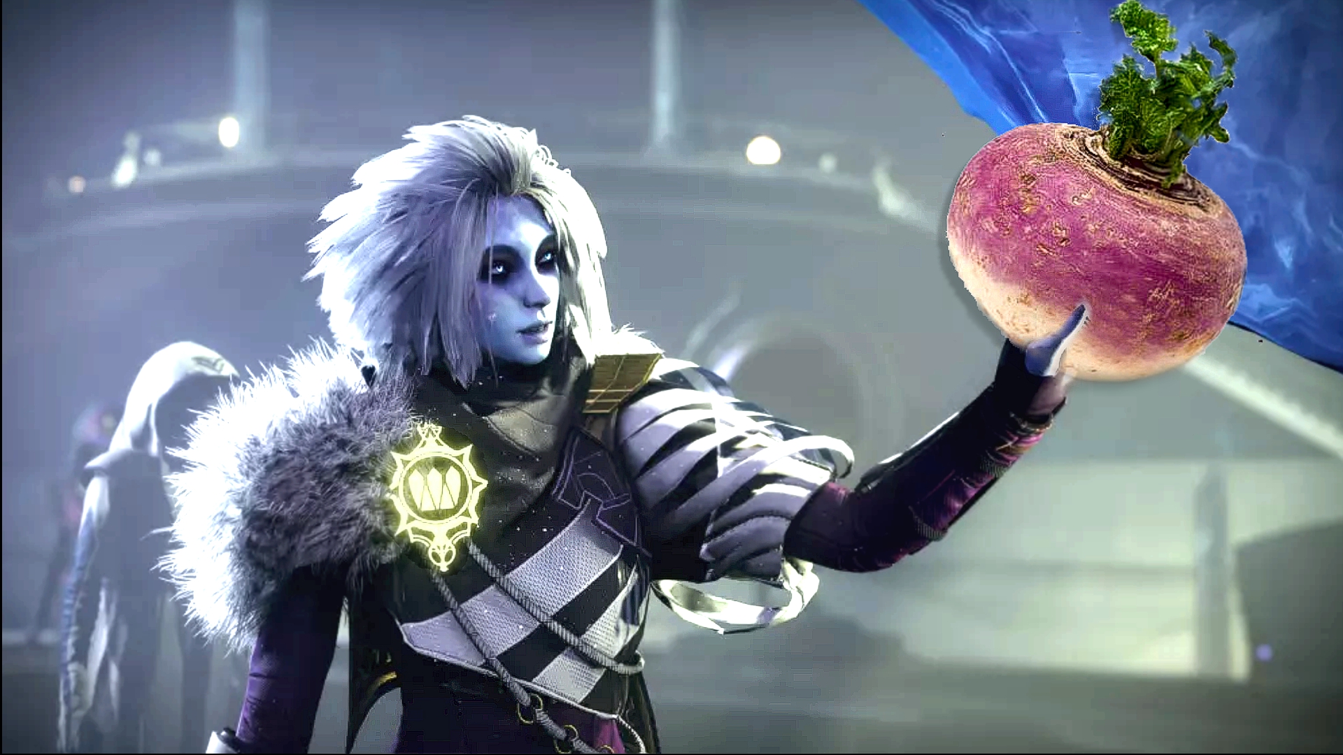 Steckrübe “Rutabaga” ruiniert Destiny 2 – Wer den Min/Max Glitch nutzt wird gebannt