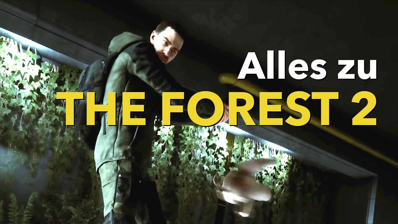 Sons of the Forest: Alles zu Release, Story & Gameplay