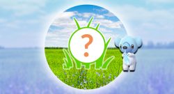 Pokémon-GO-Rampenlicht-Petznief-Titel