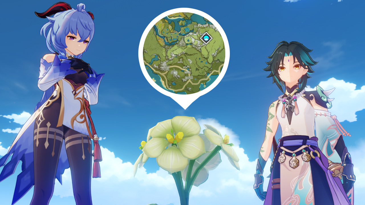 Alle Fundorte in Genshin Impact, um Qingxin für Shenhe, Xiao und Ganyu zu farmen