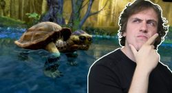 GW2 Schildkröte Alex Meinung EoD