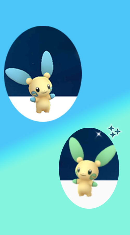 Pokémon-GO-Minun-Shiny