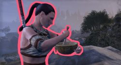 ESO - Versorger Nord