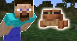 Minecraft-Frosch-Titel