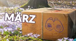 Pokémon-GO-Events-März-Titel