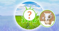 Pokémon-GO-Rampelicht-Stunde-Tragosso-Titel