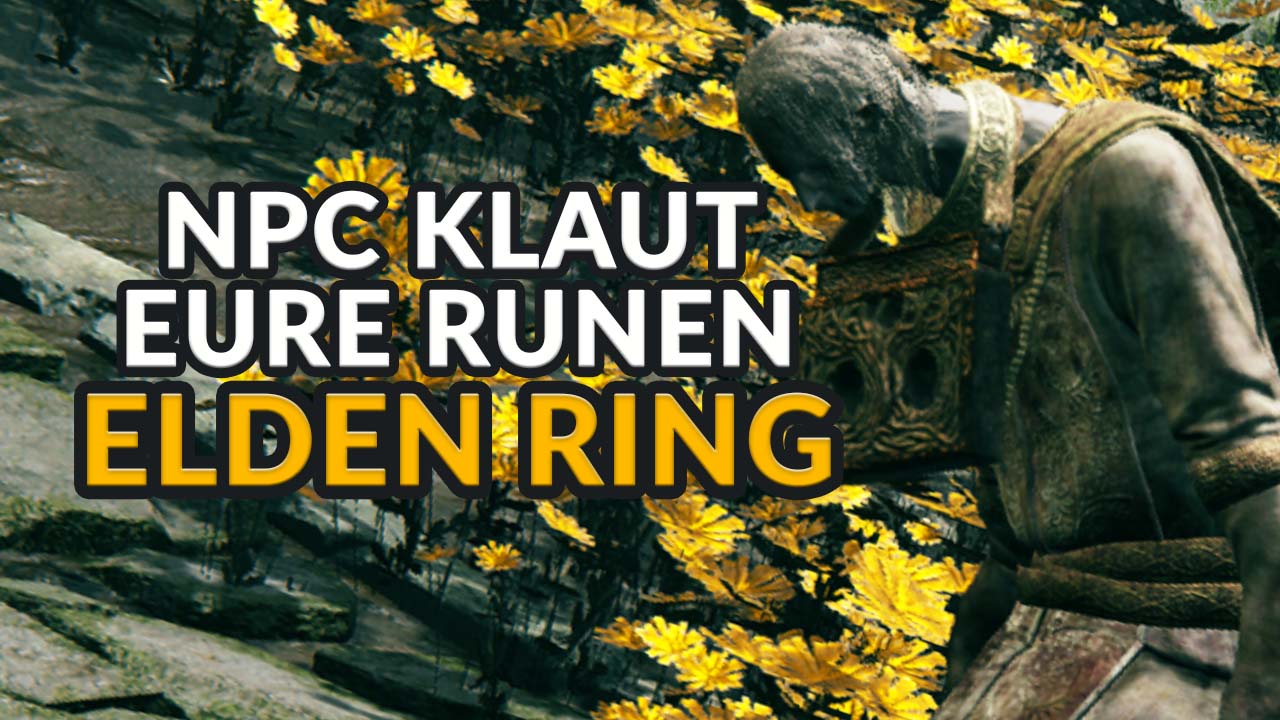 Erinnert ihr euch an den einen hilfreichen NPC in Elden Ring? Der hat euch die ganze Zeit dreist beklaut