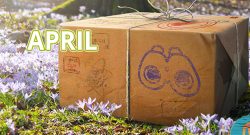 Pokémon-GO-April-Events-Titel