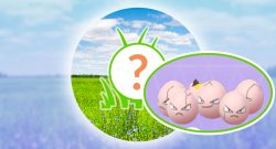 Pokémon-GO-Rampenlicht-Owei-Titel-2