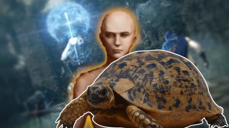 Spieler lebt in Elden Ring jetzt als Schildkröte, weil ihm das Leben im Zwischenland zu hart wurde