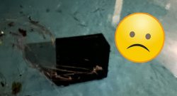 twitch-streamerin weint vater wirft pc in pool_header