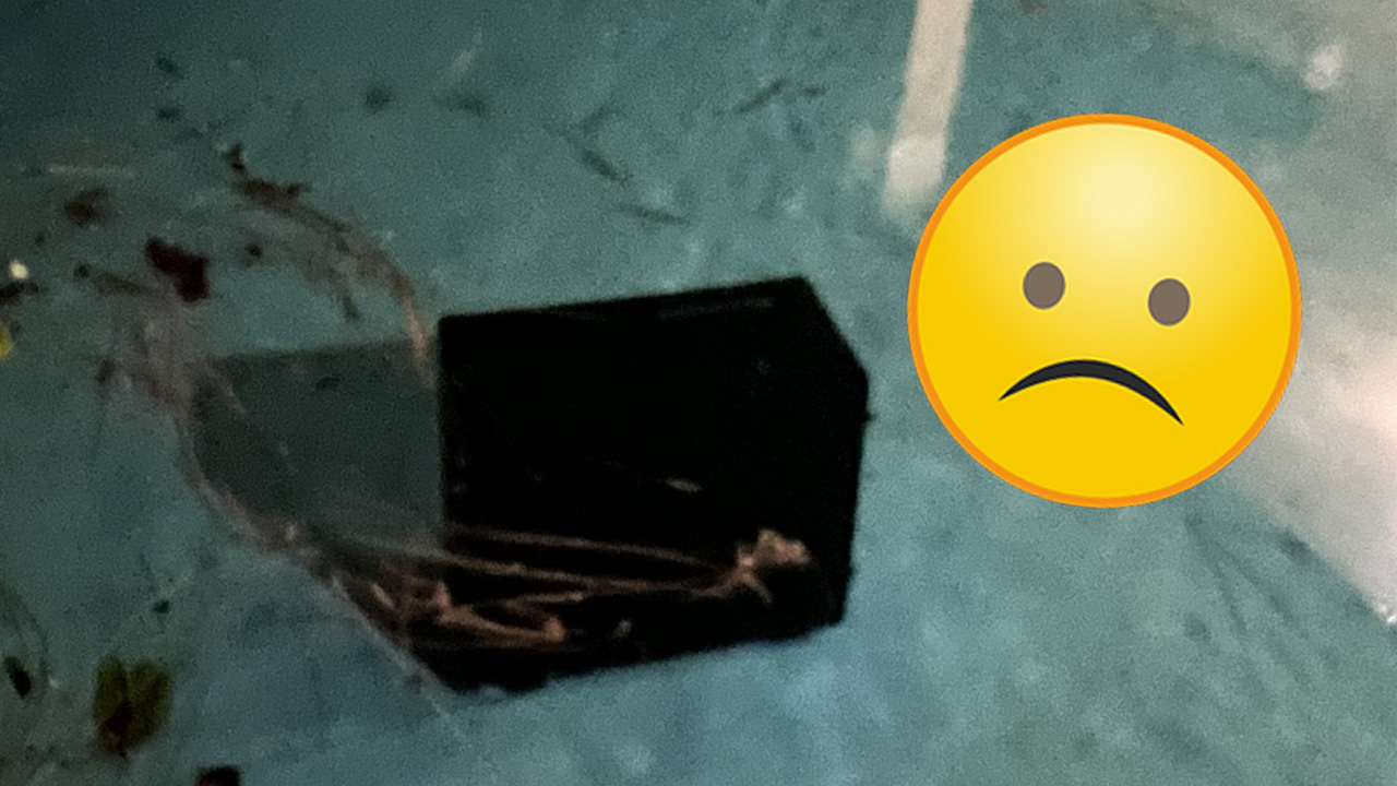 Father destroys PC saved for years – 15-year-old Twitch streamer cries: “He had a bad day”