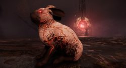 New World Kaninchen 2