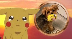 Pokemon-Go-Terribark-Hund-Titel