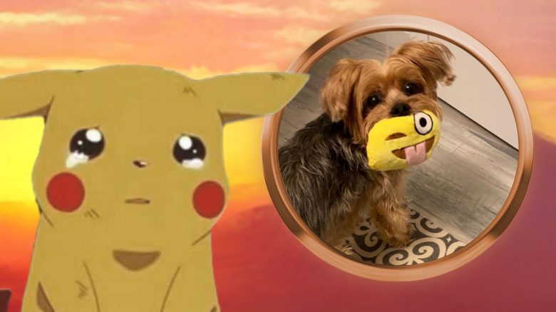 Trainer aus Pokémon GO verliert seinen treuen Hund, jetzt erweist er ihm im Spiel die letzte Ehre