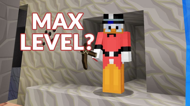 Minecraft-Max-Level-Titel