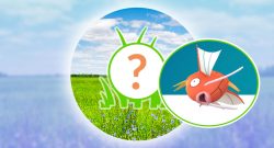 Pokémon-GO-Rampenlicht-Karpador-Titel