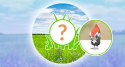 Pokémon-GO-Rampenlicht-Peppeck-Titel