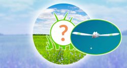 Pokémon-GO-Rampenlicht-Wingull-Titel