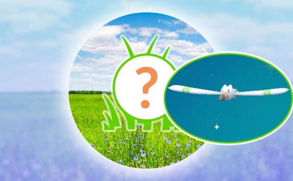 Pokémon-GO-Rampenlicht-Wingull-Titel