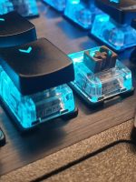 Für welche Switches soll ich mich entscheiden, wenn ich eine Gaming-Tastatur kaufe?