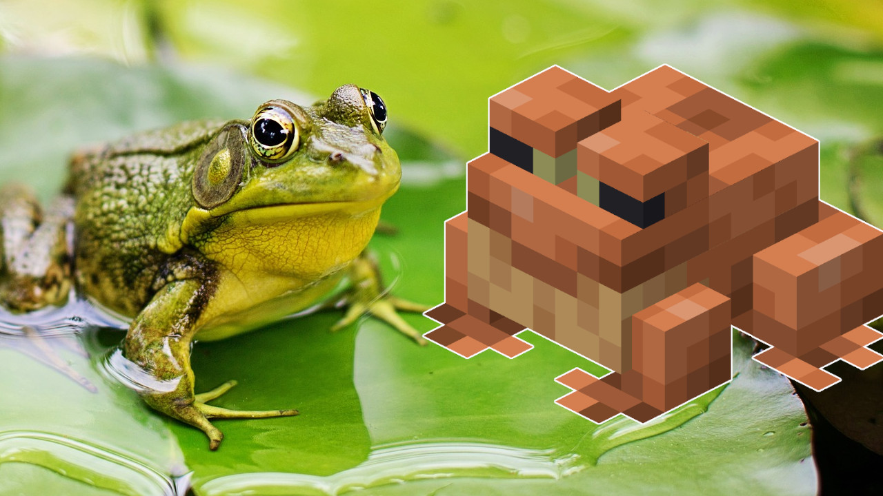 Minecraft: Neuer Patch streicht einen Mob – aus Angst, ihr bringt echte Frösche um