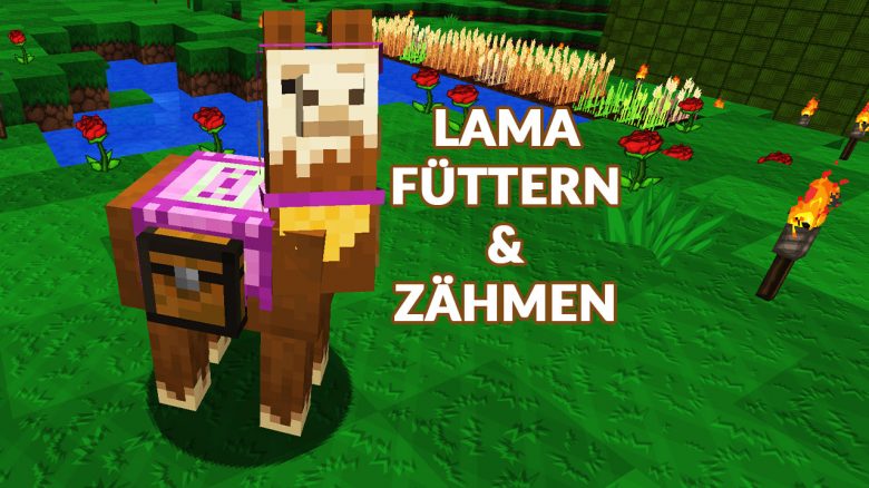 Minecraft: Was essen Lamas? Alles zum Züchten und Zähmen