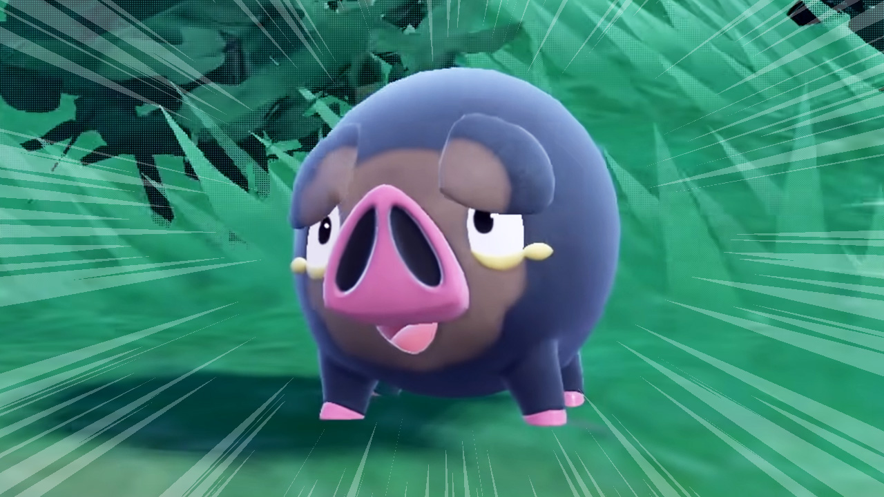 Neues, fettes Schweinchen begeistert aktuell die Fans von Pokémon – Und das nur wegen seines Namens