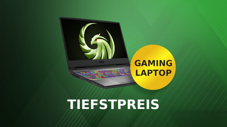Guter Gaming-Laptop mit Radeon RX 6600M und Ryzen 5 jetzt günstig wie nie im Angebot