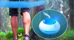 Pokémon-GO-Abenteuerrauch-Titel