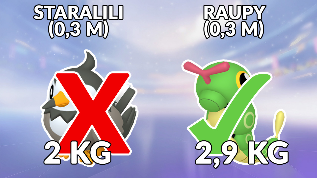 Pokemon Quiz – Gewicht – Raupy Staralili Antwort