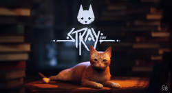 Stray 1