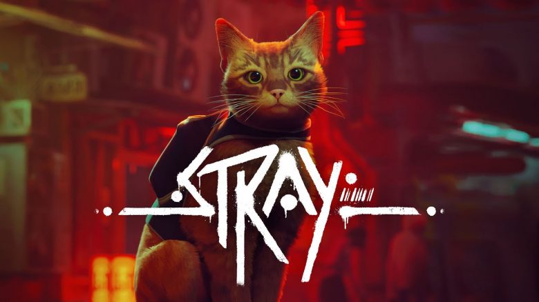 Das neue Spiel Stray schnurrt sich zu 97 % positiven Reviews auf Steam – Auch Katzen und Hunde sind verrückt danach