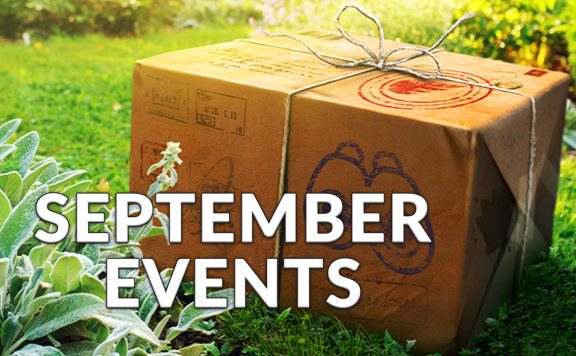 Pokemon-GO-Titel-Events-September