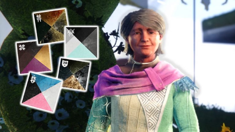 5 der seltensten Shader in Destiny 2 und wie ihr sie bekommt
