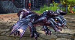 GW2 Himmelsschuppen Baby