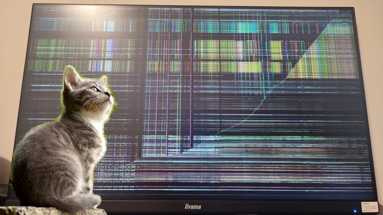 Katze zerstört angeblich Gaming-Setup – Community schimpft: Besitzer soll ihr endlich Manieren beibringen