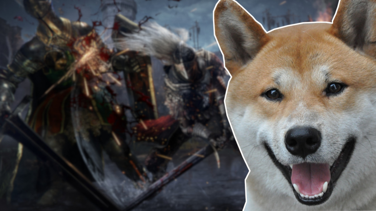 Twitch: “Ist mein Hund in Elden Ring besser als du?”, fragt eine Streamerin und teilt einen erstaunlichen Clip