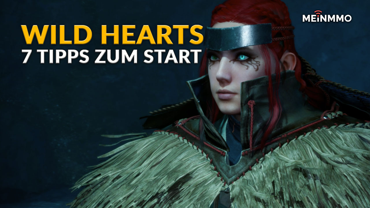 Wild Hearts Anfängertipps