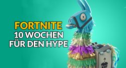 fortnite 10 wochen für den hype titel