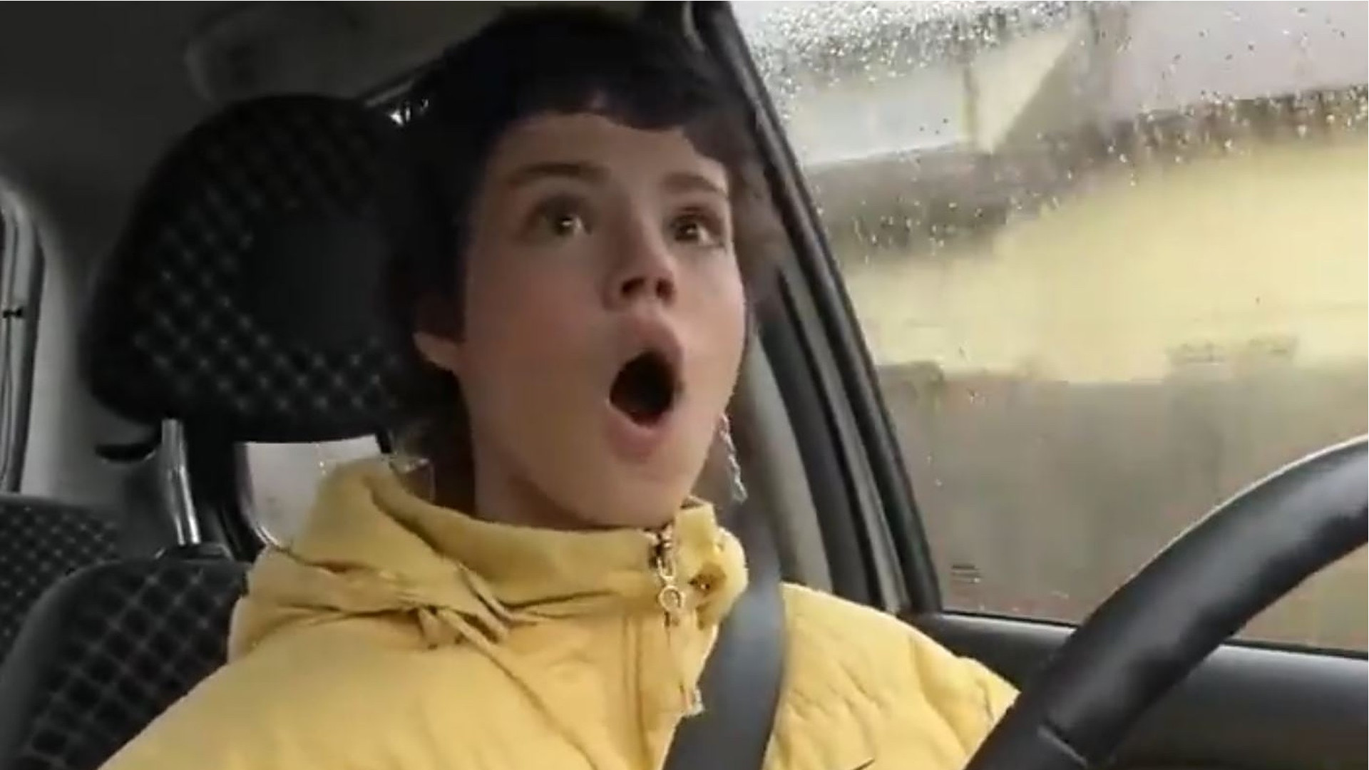 Streamerin überfährt Hund, während sie aufs Handy schaut – Twitch bannt sie permanent, aber nun streamt sie wieder