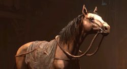 Diablo-4-Pferd-Titelbild