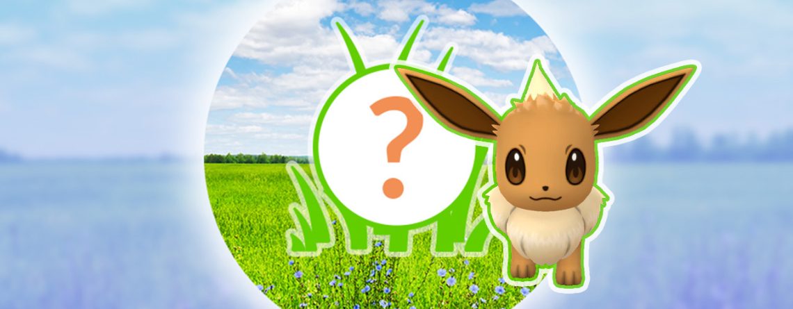 Pokémon GO: Rampenlicht-Stunde heute mit Evoli und Bonbon-Bonus