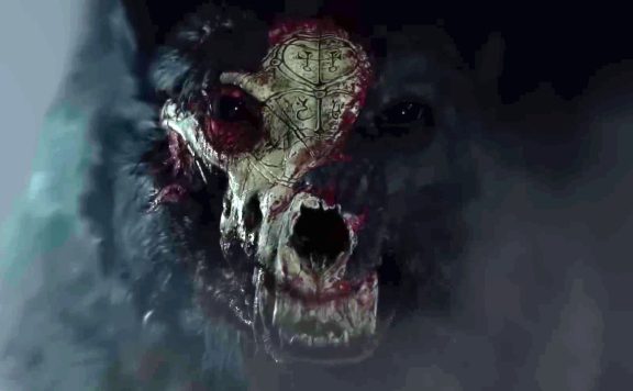 Titel Diablo 4 der Blutige Wolf